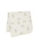 IVR
