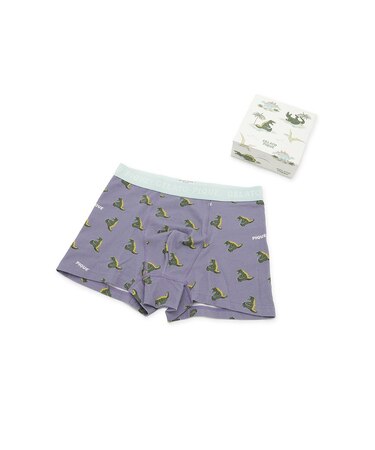 【HOMME】スリーピングダイナソー柄ボクサーパンツ BOX付き