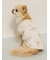 【CAT&DOG】【接触冷感】ビーチ マルチーズ ポメラニアン チワワ柄Coolingプルオーバー