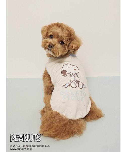 【PEANUTS】【CAT&DOG】【接触冷感】Coolingプルオーバー