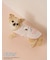 【PEANUTS】【CAT&DOG】【接触冷感】Coolingプルオーバー