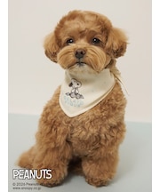 【PEANUTS】【CAT&DOG】保冷剤入れバンダナ