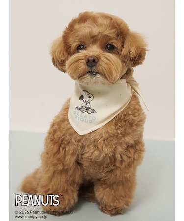 【PEANUTS】【CAT&DOG】保冷剤入れバンダナ