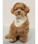【PEANUTS】【CAT&DOG】保冷剤入れバンダナ