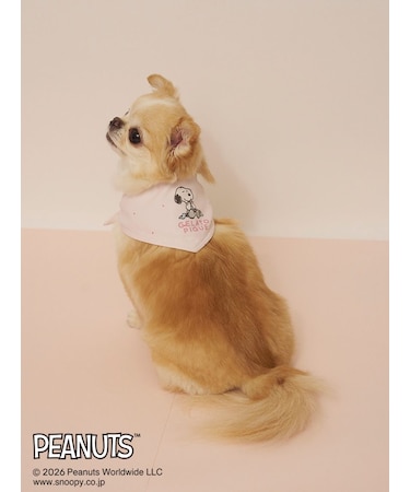 【PEANUTS】【CAT&DOG】保冷剤入れバンダナ