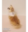 【PEANUTS】【CAT&DOG】保冷剤入れバンダナ