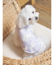 【CAT&DOG】マルチーズ柄カットソープルオーバー