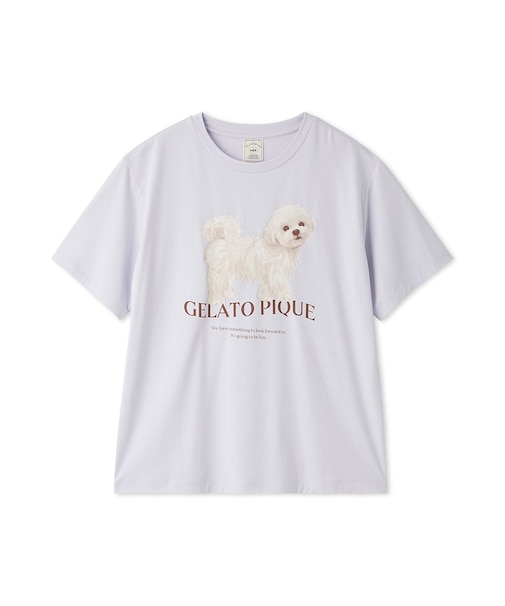 【接触冷感】【UVカット】お散歩ドッグワンポイントTシャツ