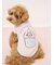 【ドラゴンクエスト】 【CAT&DOG】【販路限定】ジャガードプルオーバー