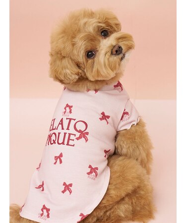 【CAT&DOG】ガーリーモチーフ柄カットソープルオーバー