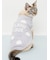【CAT&DOG】スムーズィー空モチーフプルオーバー