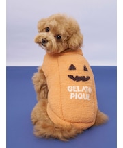 【HALLOWEEN】【CAT&DOG】パンプキンプルオーバー
