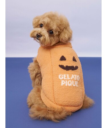 【HALLOWEEN】【CAT&DOG】パンプキンプルオーバー