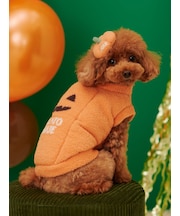 【HALLOWEEN】【CAT&DOG】パンプキンヘアクリップ