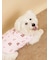 【CAT&DOG】ラージサイズ中綿ベスト