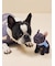 【CAT&DOG】マフラーDOGモチーフトイ