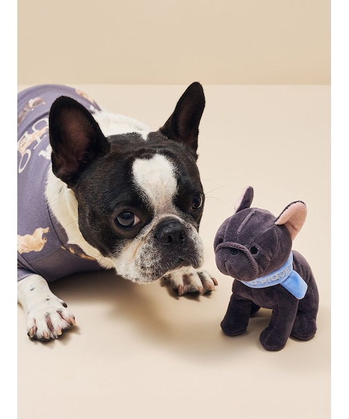 【CAT&DOG】マフラーDOGモチーフトイ