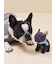 【CAT&DOG】マフラーDOGモチーフトイ