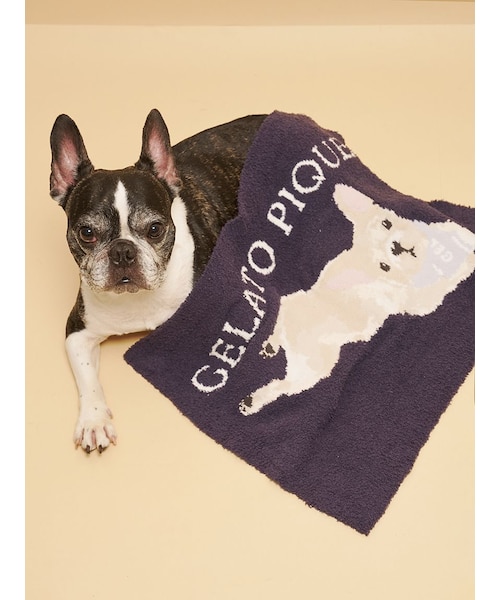 CAT&DOG】ベビモコフレンチブルドッグ柄ブランケット｜ジェラートピケ