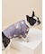 【CAT&DOG】フレンチブルドッグ柄カットソープルオーバー
