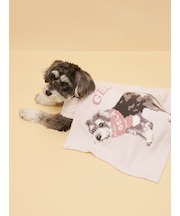 【CAT&DOG】ベビモコシュナウザー柄ブランケット