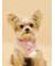 【CAT&DOG】ベビモコマフラー
