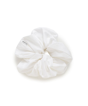 ブロードシュシュ