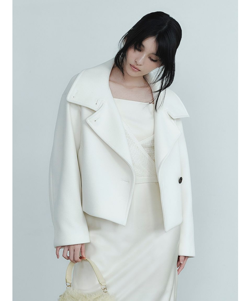 スタンドカラーショートコート