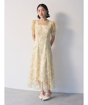 パネルラインエンブロイダリ―ドレス