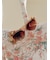 【LILY BROWN×ANNA SUI】バタフライモチーフ付きサングラス