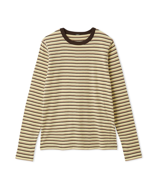 フライスロンＴ