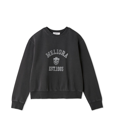 カレッジトレーナー