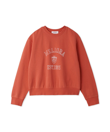 カレッジトレーナー