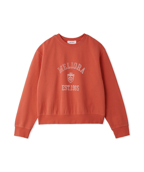 カレッジトレーナー