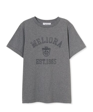 カレッジＴシャツ