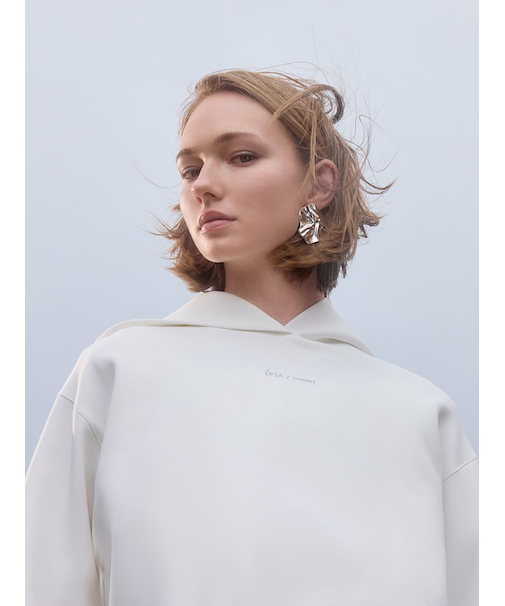 【IPSA/emmi】ウェーブプレートピアス