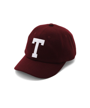 【THE NORTH FACE】TNFLogoFlannelCap