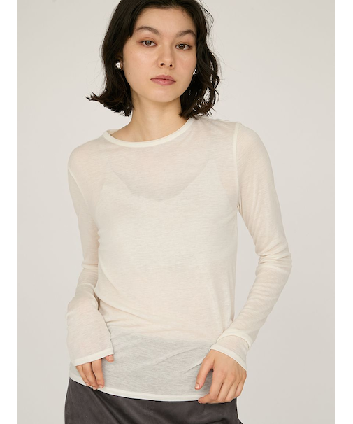 セミシアーフライストップス