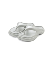 【PAES】New Flipflop