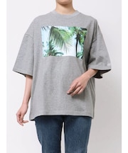 PARROTT CANVAS TRAVEL PH