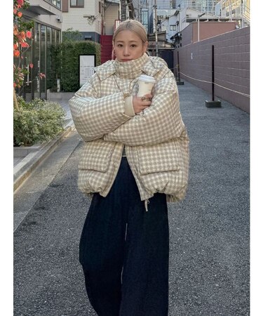 フードデザインダウン