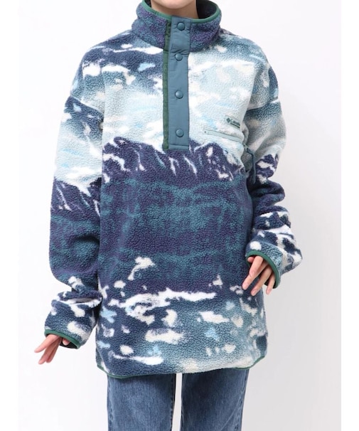 Columbia ヘルヴェティアII プリン