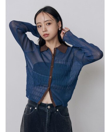 スウィッチシアーポロニット