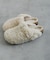 BOSTON BIG BUCKLE TEDDY