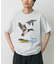 LIBERTY GRAPHICS　Mallards