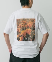 THE NORTH FACE　Short-Sleeve FDPixelPlantCottonTee