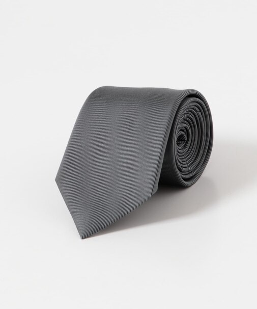 LIFE STYLE TAILOR　25AW国内タイ無地1