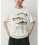 LIBERTY GRAPHICS　Trout & Flies