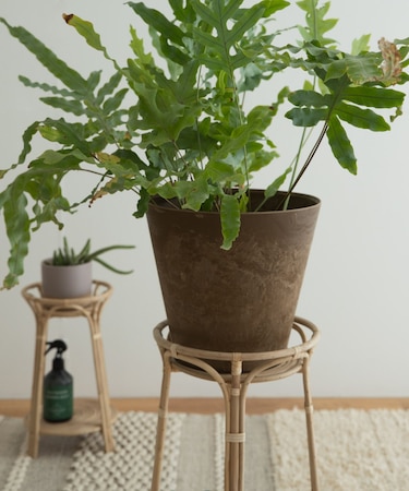 『WEB限定』amabro　ART STONE M