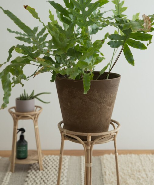 『WEB限定』amabro　ART STONE M